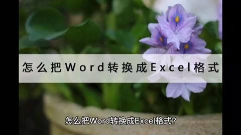 dat文件转换成excel教程