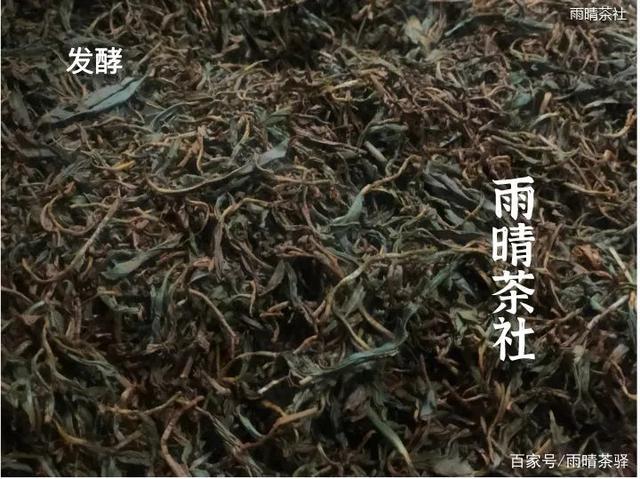 茶叶渣发酵后能养花吗