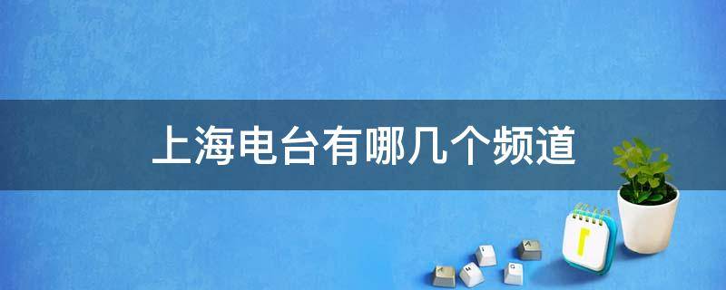 上海电台有哪几个频道最新(上海有哪些电台频道)