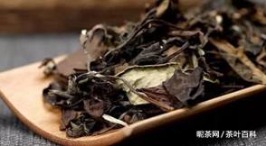 新鲜茶叶煮茶喝可以吗