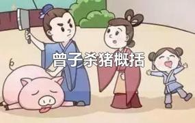 曾子杀猪概括二十字左右(曾子杀猪概括50字)