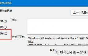 win11能关闭自动升级吗