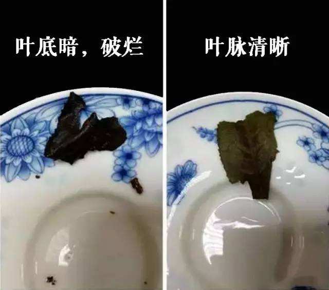 判断茶叶坏没坏的方法