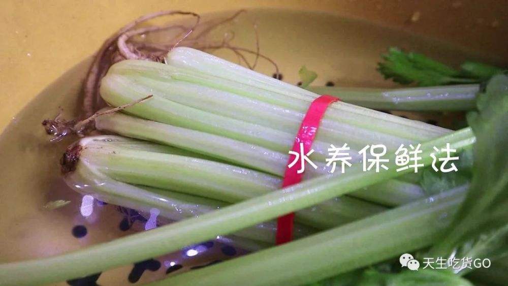 冬天新鲜蔬菜保存方法