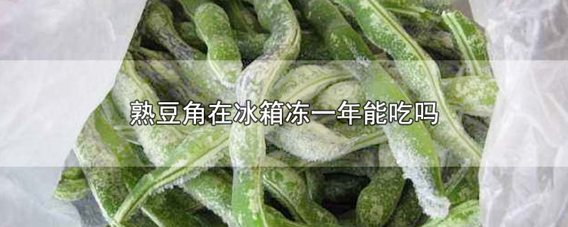 熟豆角在冰箱冻一年能吃吗(在冰箱里冻了一年的豆角还能吃吗)