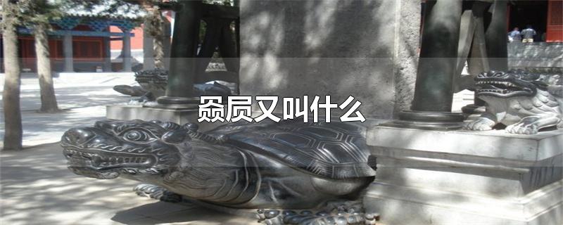 赑屃又叫什么(屃赑是什么)