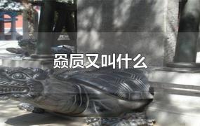 赑屃又叫什么(屃赑是什么)