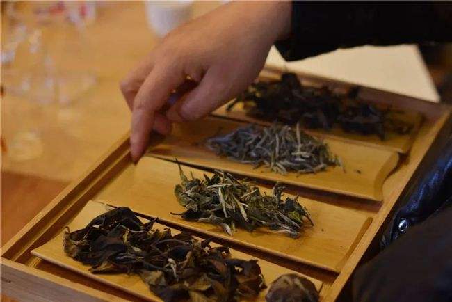 新茶和旧茶能一起泡吗