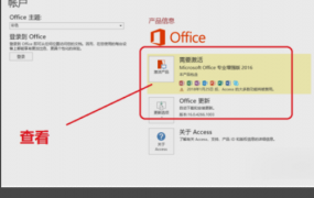 win10office位置详情