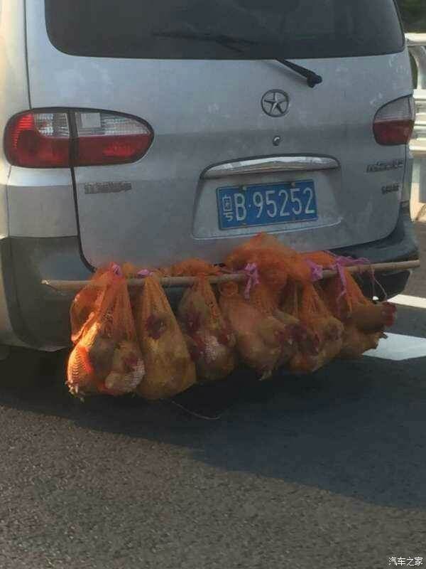 活鸡能不能带上大巴车