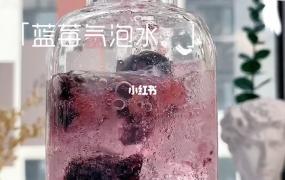 蓝莓气泡水怎么做