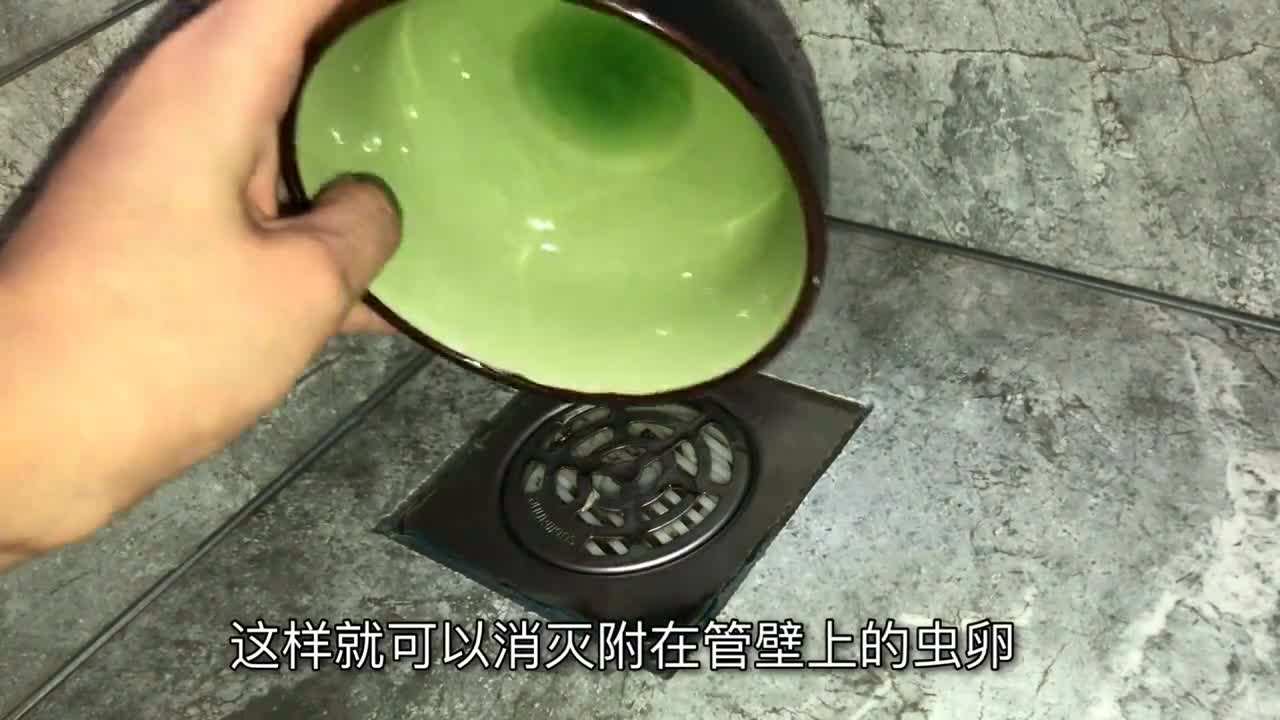 在家里怎么除掉苍蝇