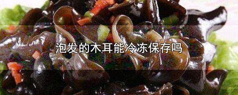 泡发的木耳可以冷冻保存吗(发泡好的木耳能在冰箱冷冻吗)