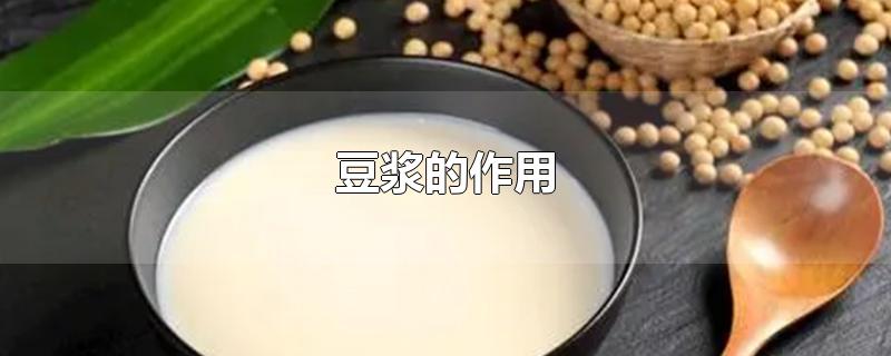 豆浆的作用与功效(豆浆的图片)