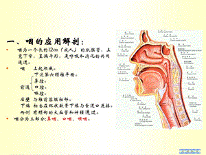 怎样才能把嗓子练好