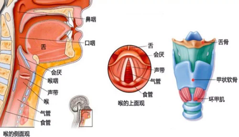 怎样才能把嗓子练好