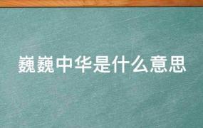 泱泱华夏巍巍中华是什么意思(巍巍中华是什么意思啊)