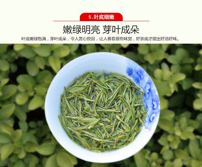 信阳毛尖茶叶怎么辨认真伪