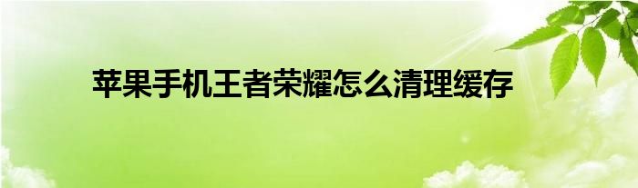 ios14是否能打王者荣耀详细介绍