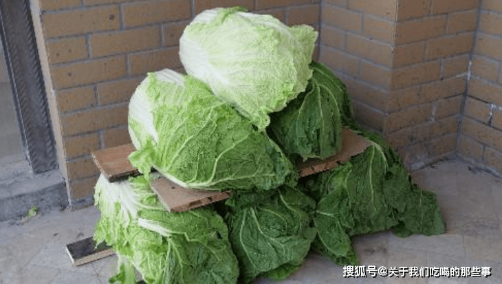 新鲜白菜怎样长期储存保鲜