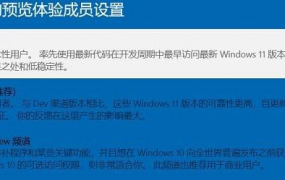 win11安装卡在完成界面解决方法