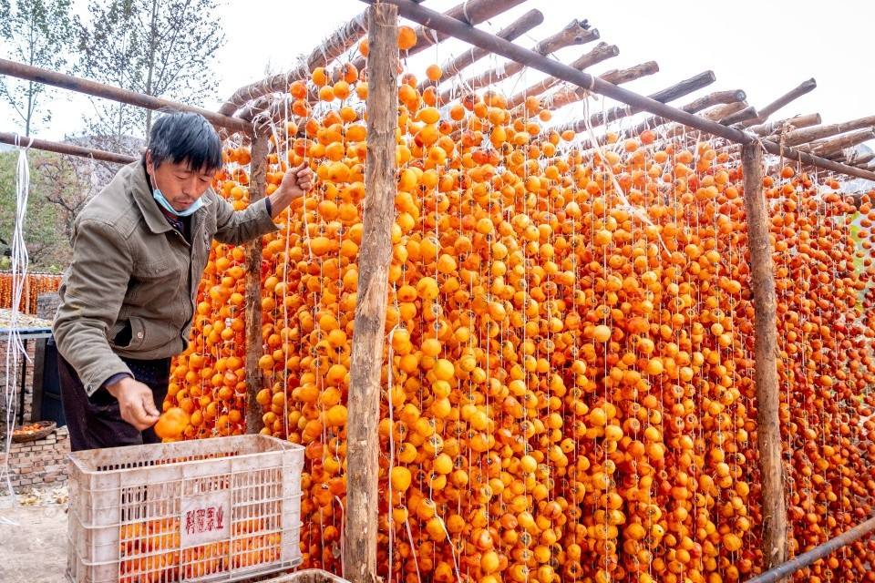 家庭晒柿饼的方法