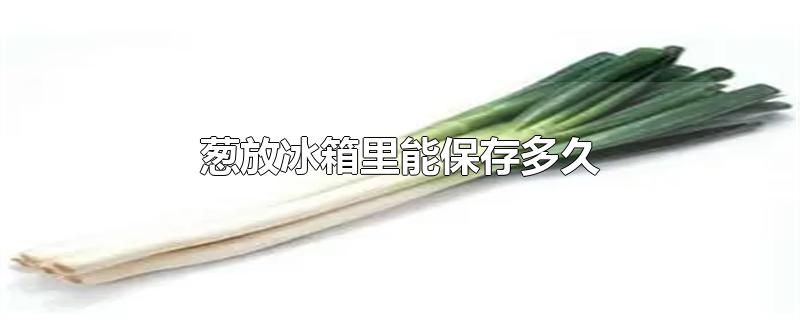 葱放冰箱里能保存多久(葱放冰箱里怎么储存时间长)