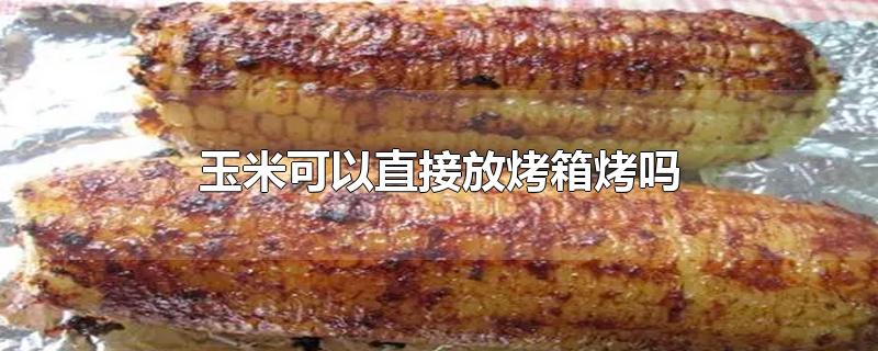 冷冻玉米可以直接放烤箱烤吗(玉米可以直接放烤箱烤吗剥皮了)