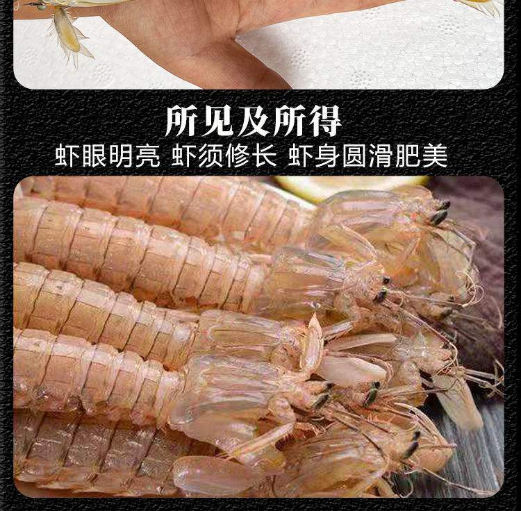 虾蛄快递怎么保鲜