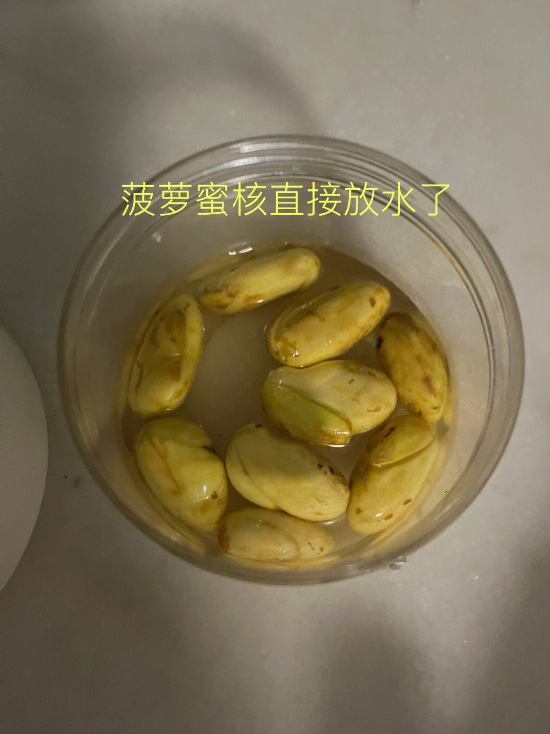 菠萝蜜核如何水培发芽