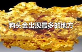 狗头金出现最多的地方哪卖(狗头金出现最多的地方有什么特点?)