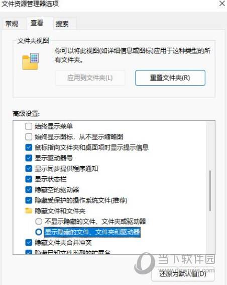 win11隐藏文件打开教程