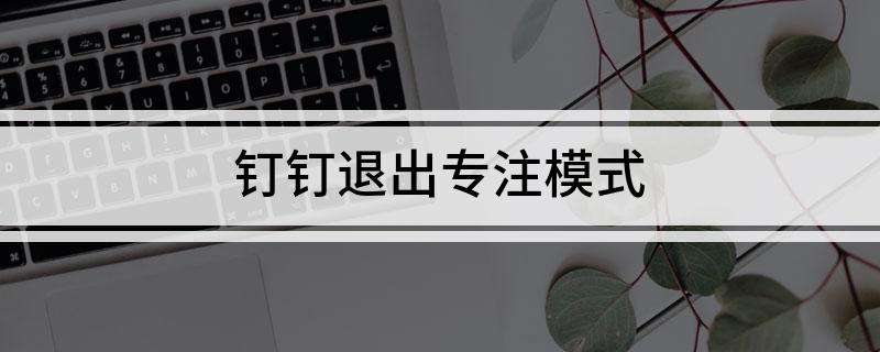 钉钉实验室专注模式怎么开启