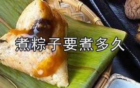 煮粽子需要的时间