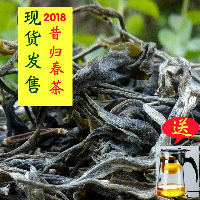 普洱古树新茶能泡几泡