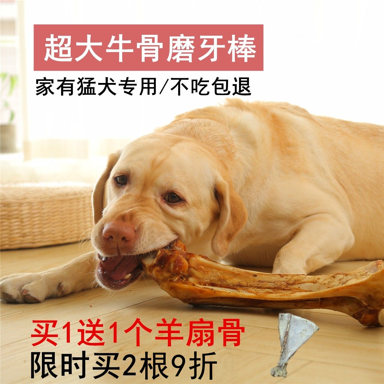 给狗狗煮骨头要放什么