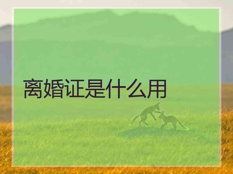 离异是什么