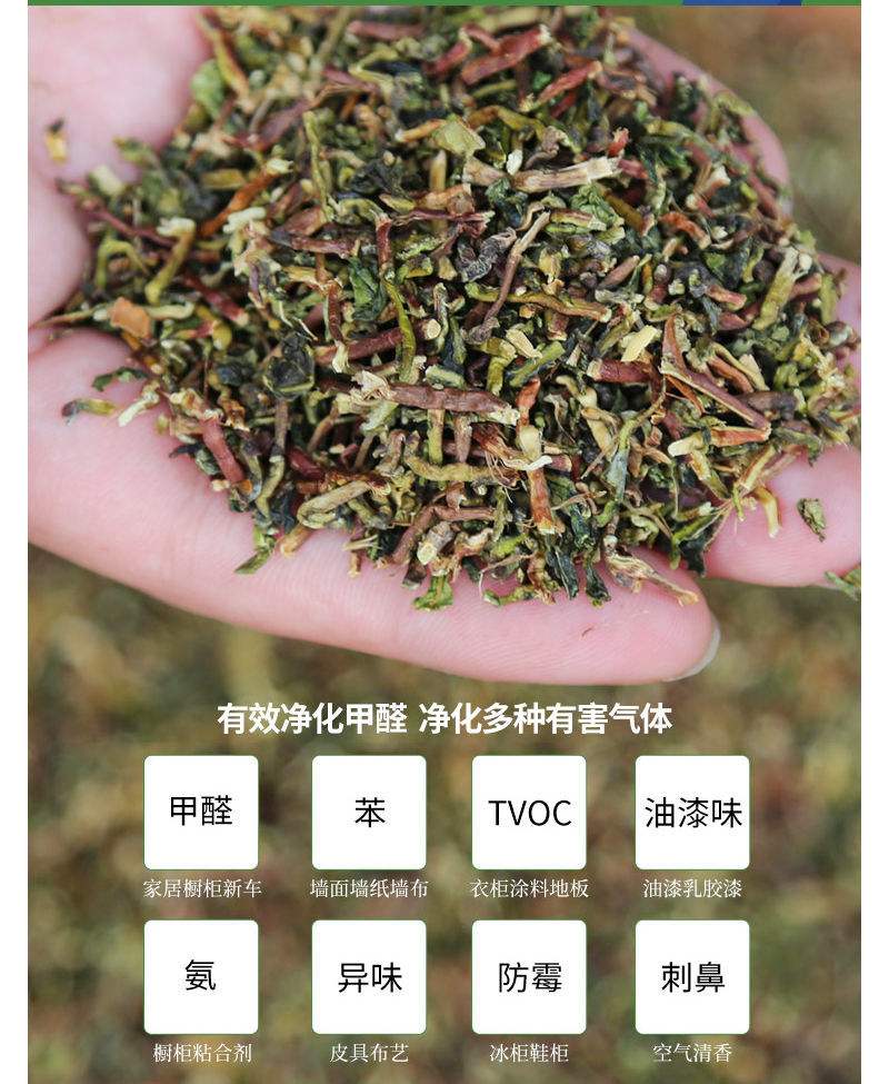 茶梗真的可以去除甲醛吗