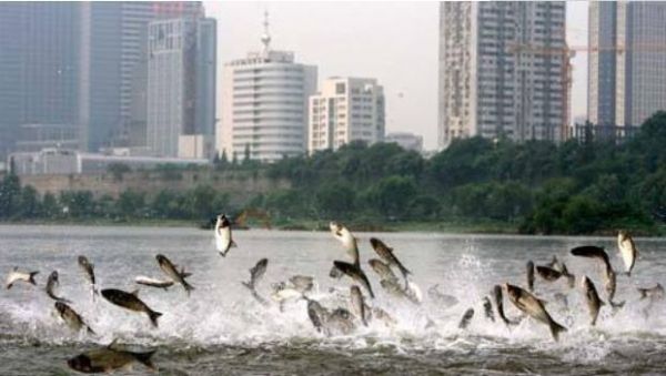 地震会有什么预兆