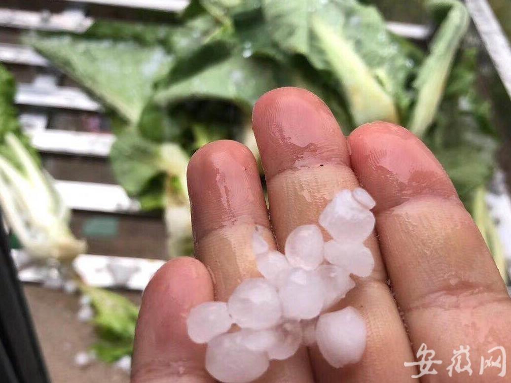 雨雪冰雹是怎么形成的