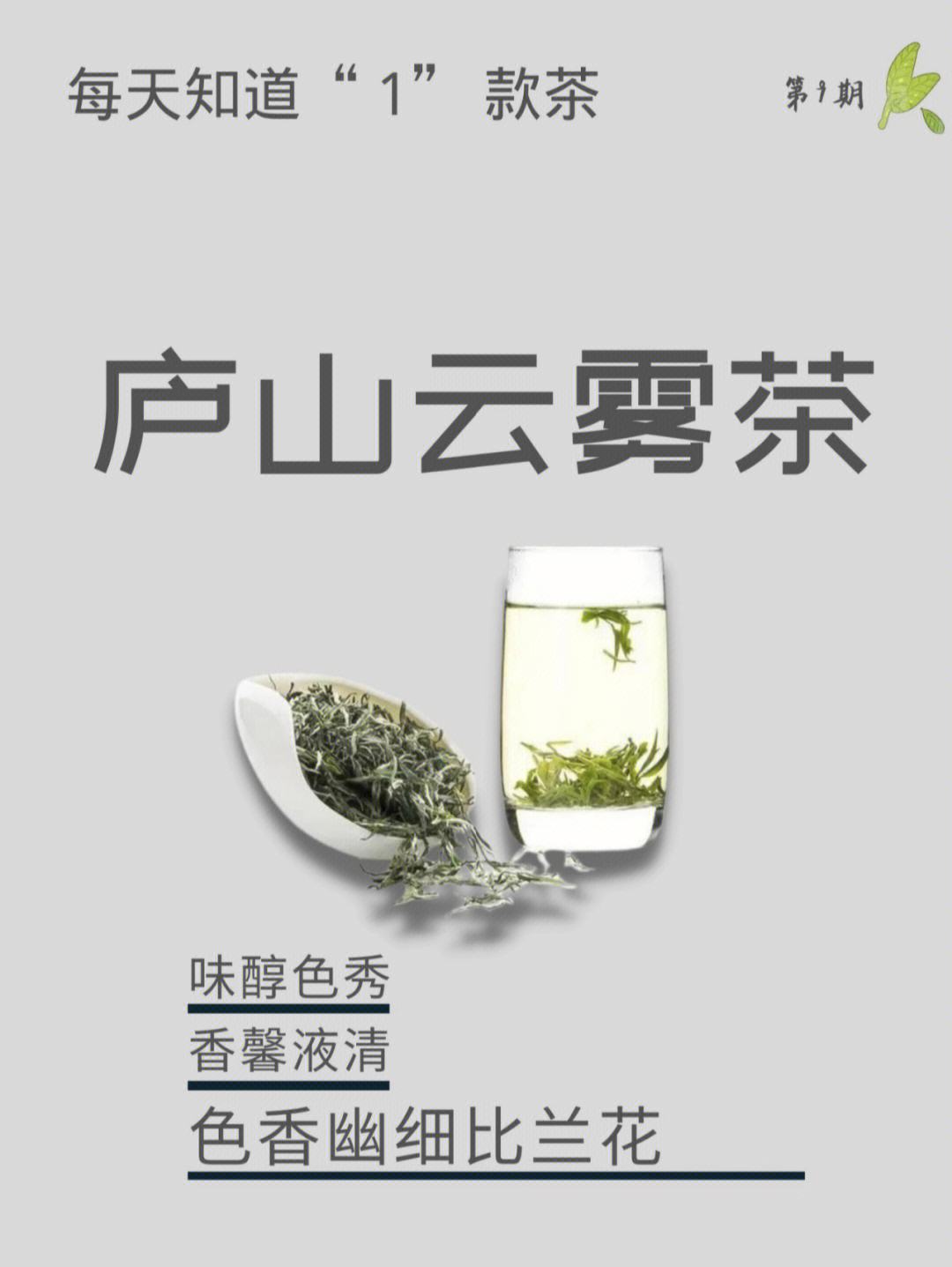 庐山云雾能喝几泡