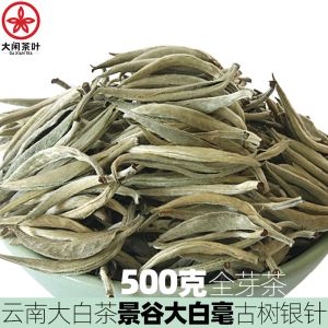 大白毫是什么茶