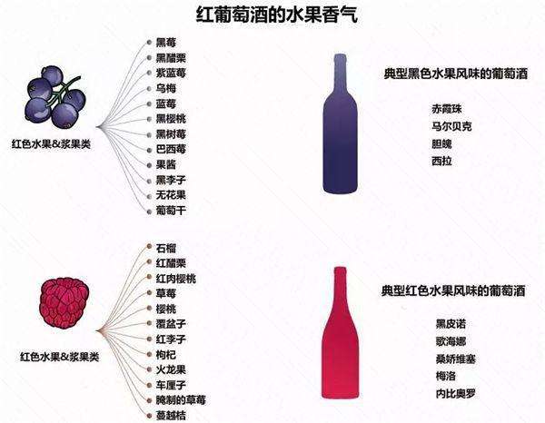 怎么红酒真假鉴别