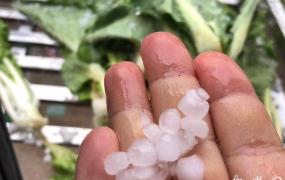 雨雪冰雹是怎么形成的