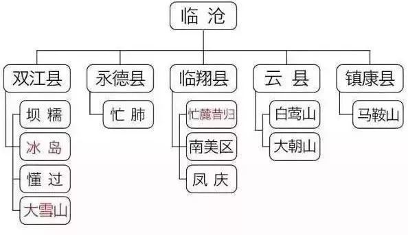 普洱种类