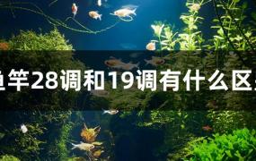 钓鱼竿28调和19调有什么区别(鱼竿19调和28调的区别)