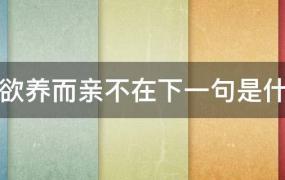 子欲养而亲不待下一句是什么?(子欲养而亲不在的下一句是什么?)