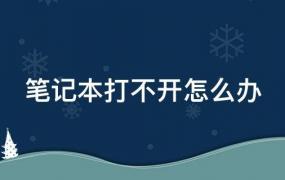 笔记本开机进不去系统怎么办(笔记本电脑启动不起来怎么办)