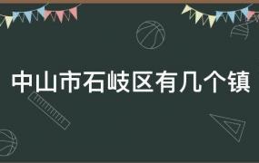 中山石岐区是什么镇(中山市石岐属于哪个镇)