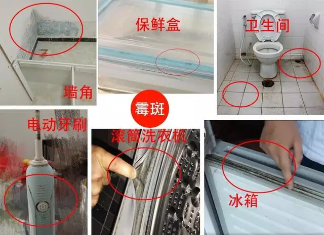 怎么防止家里用具发霉